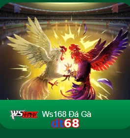 dt68